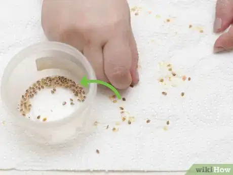 Imagen titulada Seed Tomatoes Step 18
