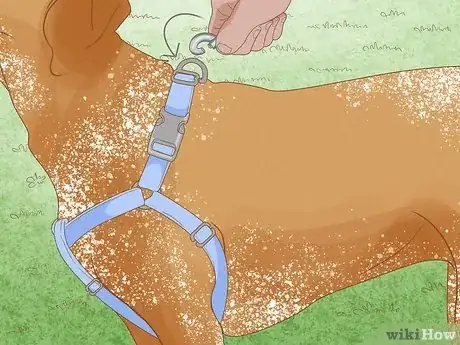 Imagen titulada Measure a Dog for a Harness Step 5