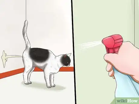 Imagen titulada Deal With a Female Cat in Heat Step 2