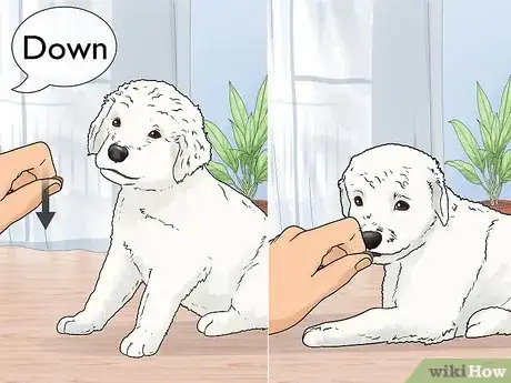Imagen titulada Train a Dog Step 5