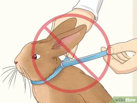 Imagen titulada Get Rid of Fleas on Rabbits Step 6