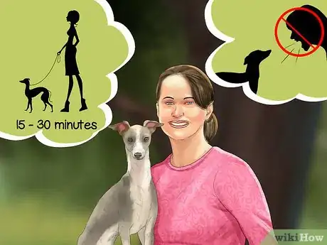 Imagen titulada Care for an Italian Greyhound Step 5