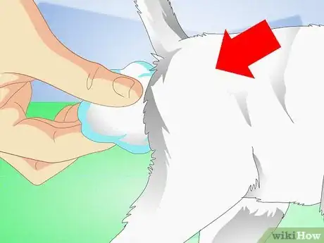 Imagen titulada Get Your Kitten to Eat Step 6