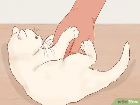 Imagen titulada Pick Up a Kitten Step 18