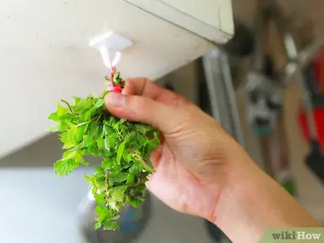 Imagen titulada Make Mint Tea Step 15