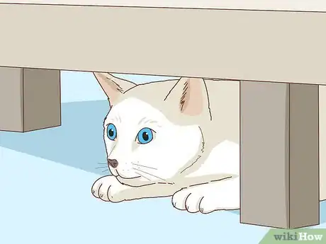 Imagen titulada Tell if Your Cat Is Depressed Step 8