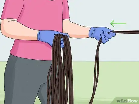 Imagen titulada Lunge a Horse Step 11