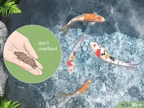 Imagen titulada Get Rid of Algae in Ponds Step 2