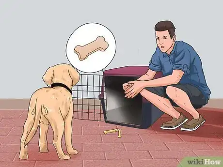 Imagen titulada Train a Golden Retriever Puppy Step 28