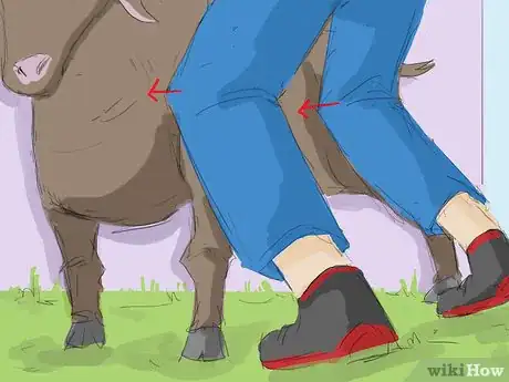 Imagen titulada Catch a Goat Step 4