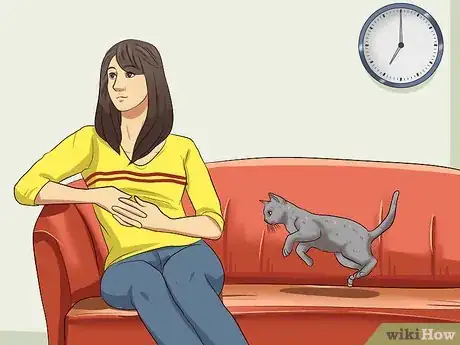 Imagen titulada Catch a Cat Step 2