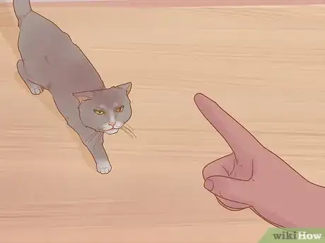 Imagen titulada Prevent Cats from Eating Plants Step 3