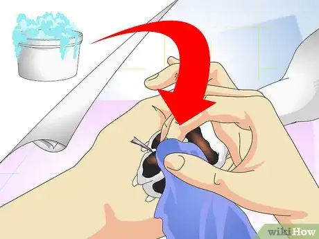 Imagen titulada Treat Dog Splinters Step 2