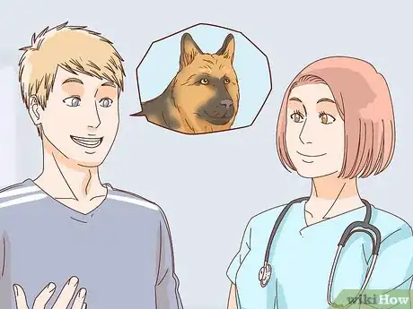 Imagen titulada Identify a German Shepherd Step 8