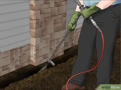 Imagen titulada Identify Termite Larvae Step 8