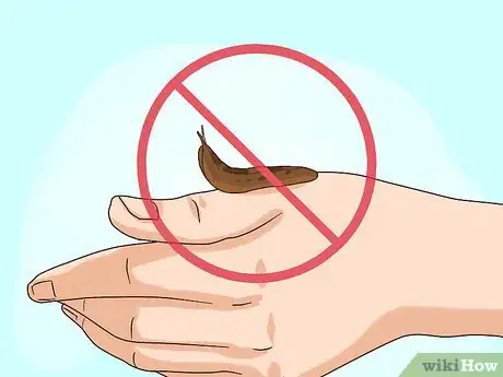 Imagen titulada Care for Slugs Step 10