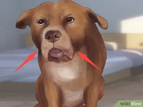 Imagen titulada Recognize Fear in Dogs Step 3