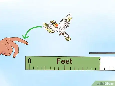 Imagen titulada Train Cockatiels Step 14