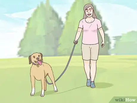 Imagen titulada Calm an Aggressive Dog Step 1