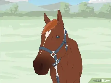 Imagen titulada Tie up a Horse Step 6