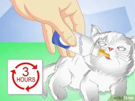 Imagen titulada Get Your Kitten to Eat Step 7