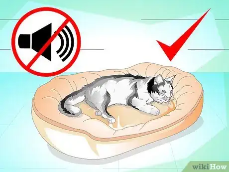 Imagen titulada Treat a Cat's Broken Tail Step 5