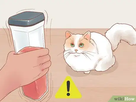 Imagen titulada Stop Your Cat from Begging Step 5