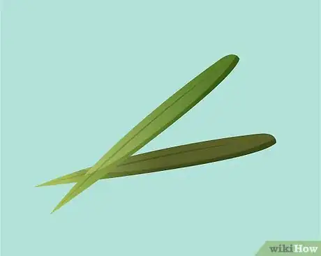 Imagen titulada Identify Rosemary Step 6