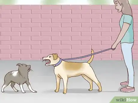 Imagen titulada Calm an Aggressive Dog Step 4