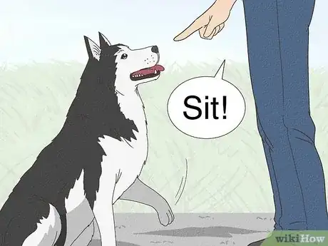 Imagen titulada Stop a Dog from Pawing Step 1