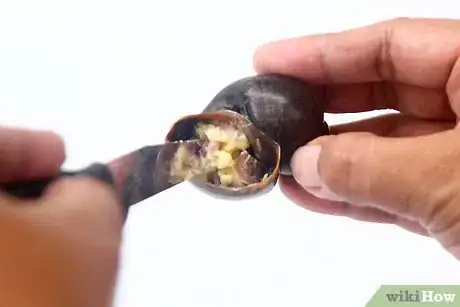 Imagen titulada Prepare Escargot Step 13