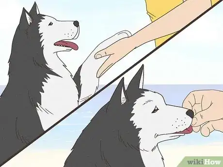 Imagen titulada Stop a Dog from Pawing Step 6