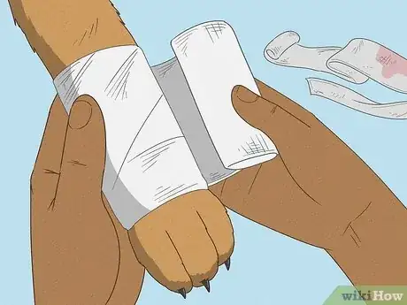Imagen titulada Wrap a Dog Paw Step 10