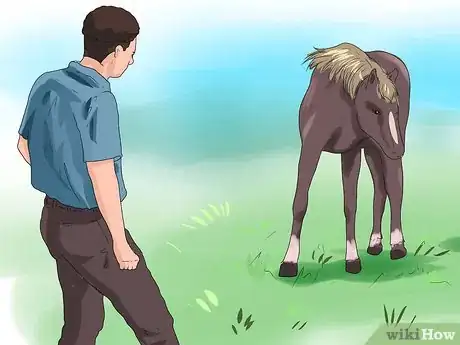 Imagen titulada Approach Your Horse Step 3