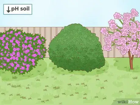Imagen titulada Lower Soil pH Step 11