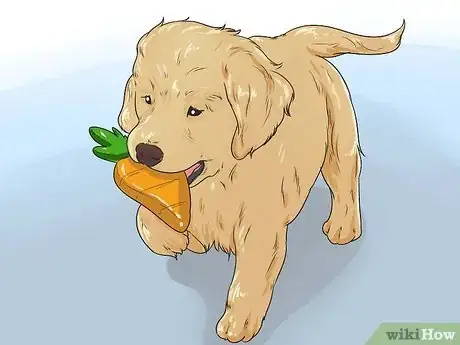 Imagen titulada Train a Golden Retriever Puppy Step 37