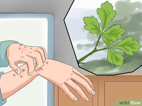 Imagen titulada Identify Poison Oak Step 8
