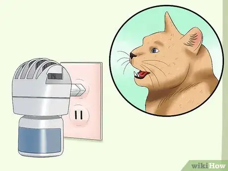 Imagen titulada Deal With a Female Cat in Heat Step 1