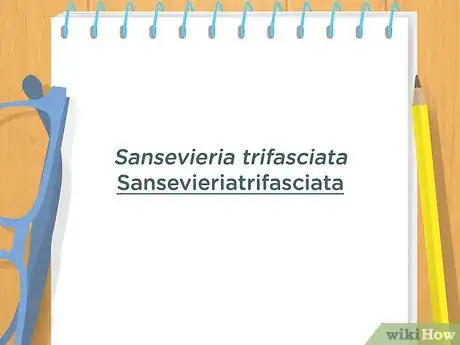 Imagen titulada Write a Scientific Name Step 3
