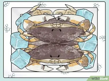 Imagen titulada Cook a Crab Step 4