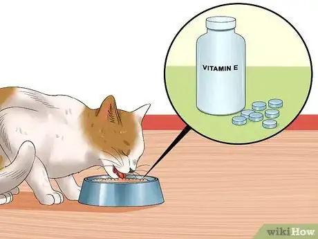 Imagen titulada Get Your Cat Out of the Malnutrition Stage Step 14