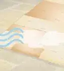 eliminar el olor de orina de perro de las alfombras