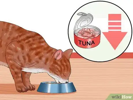 Imagen titulada Get Your Cat Out of the Malnutrition Stage Step 11