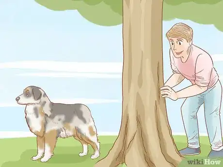 Imagen titulada Keep an Australian Shepherd Busy Step 5