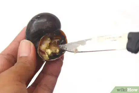 Imagen titulada Prepare Escargot Step 12