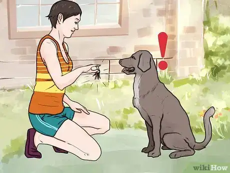 Imagen titulada Stop Your Dog from Barking at Strangers Step 6