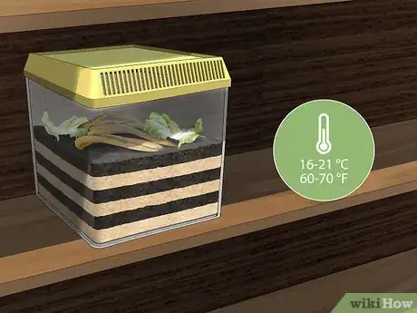 Imagen titulada Make a Worm Habitat Step 7