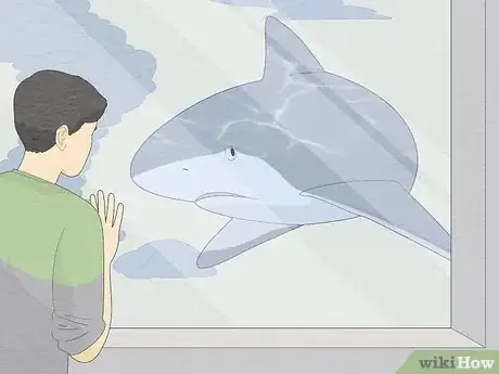 Imagen titulada Get over Your Fear of Sharks Step 11