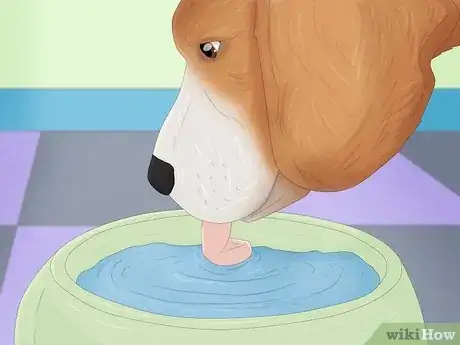 Imagen titulada Treat Fever in Dogs Step 4