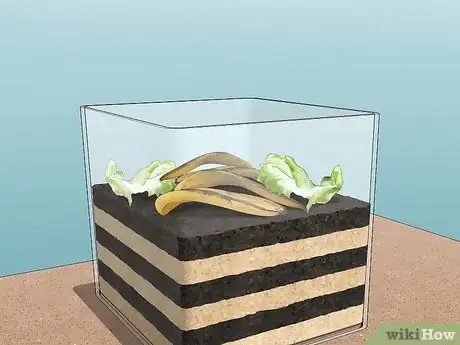 Imagen titulada Make a Worm Habitat Step 4